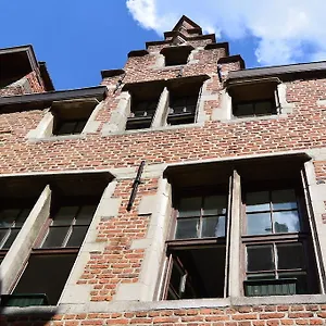 Bedstarline , Anvers Belgique